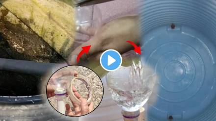 How to Clean Water Tank at Home video 5 minutes jugaad to clean water tanki at home remove all dirt stickiness