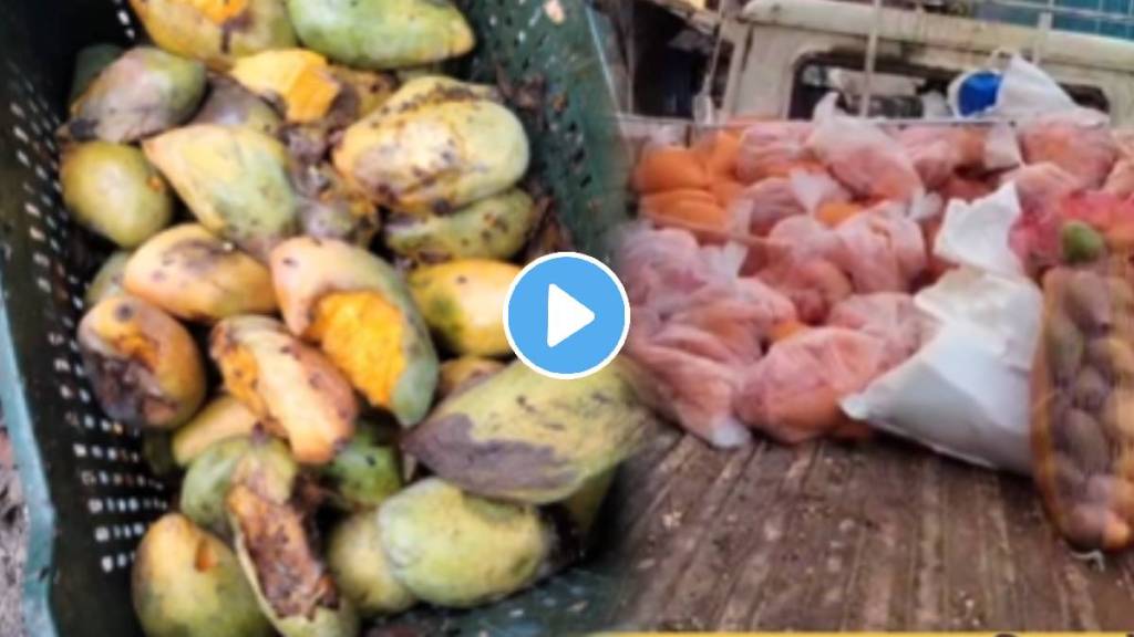 Ripe Mango Juice dirty Mango Juice is being sold in navi mumbai shocking video Ripe Mango Juice dirty Mango Juice is being sold in navi mumbai shocking video