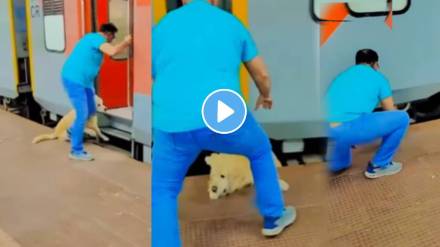 Viral shocking video Pet Dog Survives Fall On Track After Man Attempts Boarding Moving Train