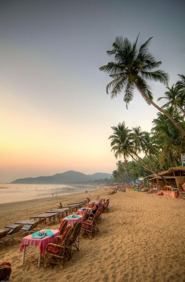 Top 8 Most Beautiful Beaches in India You Must Visit This Summer, From Tarkarli to Radhanagar