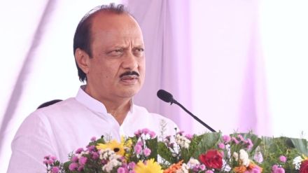 bees attack deputy Chief minister ajit Pawars convoy at Sangameshwar Kasba