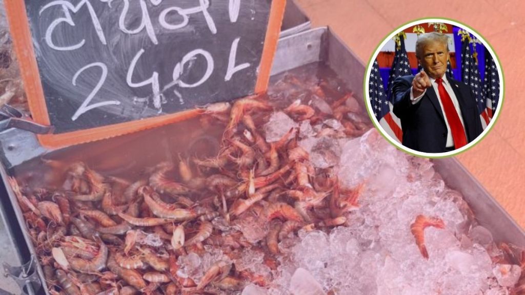 Fresh prawns at a seafood stall in Pune, India, amid rising demand after US trade tariffs