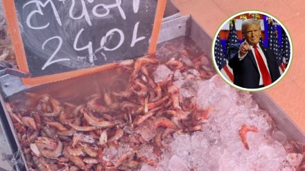 Fresh prawns at a seafood stall in Pune, India, amid rising demand after US trade tariffs