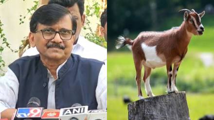 What Sanjay Raut Said?