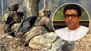 What Raj Thackeray said?