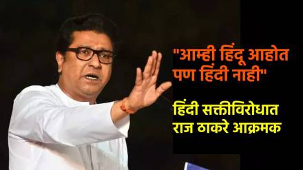 Raj Thackeray on Hindi Language
