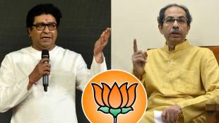 Raj Thackeray ready to join hands with Uddhav Thackeray