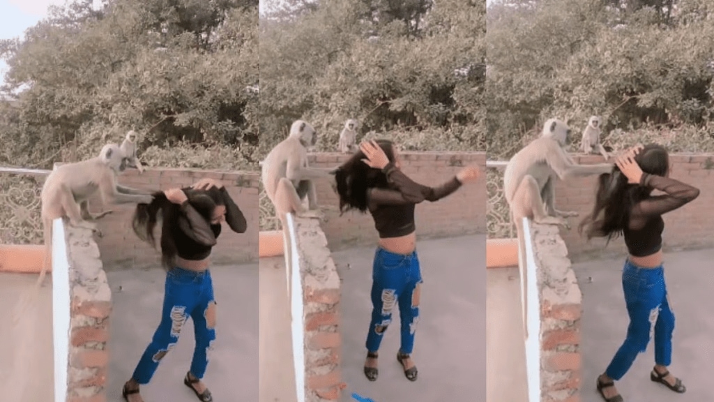 Reel goes wrong after monkey pulls girl's