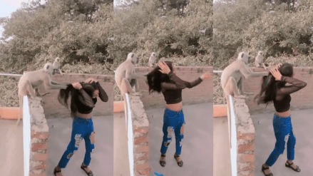Reel goes wrong after monkey pulls girl's