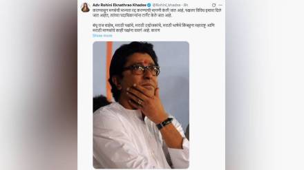 Rohini Khadse Sharad Pawar group supports MNS chief Raj Thackeray marathi language issue