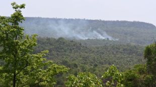 Salwa Mountain fire in Vaibhavwadi dangerus rare biodiversity