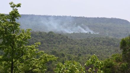 Salwa Mountain fire in Vaibhavwadi dangerus rare biodiversity