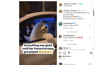 Dog cute Viral Video