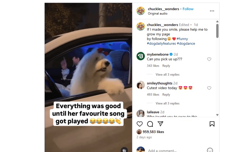 Dog cute Viral Video