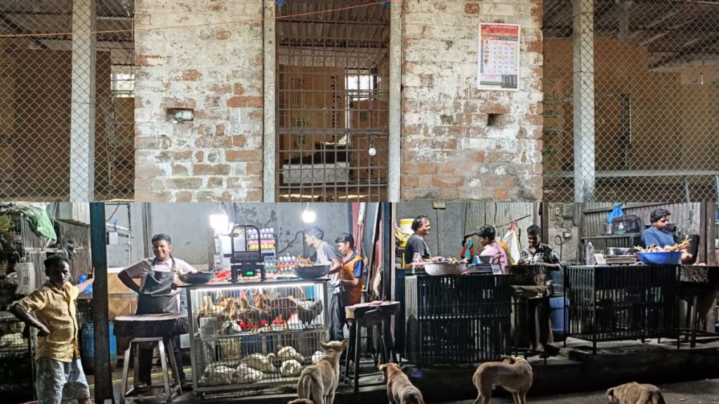 Sterilization of stray dogs in Wada city is in dangerous state