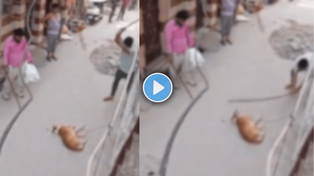 VIDEO Stray Dog Tied Beaten To Death