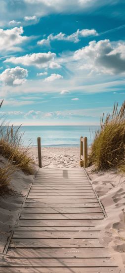 Top 8 Most Beautiful Beaches in India You Must Visit This Summer, From Tarkarli to Radhanagar