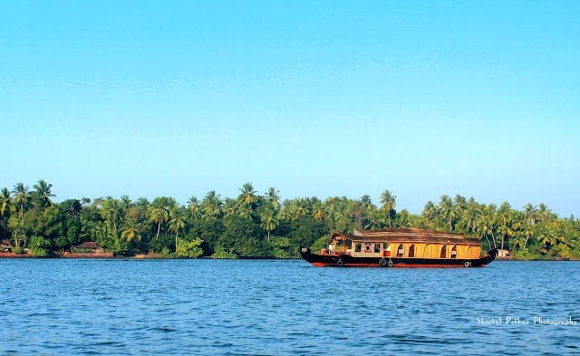 Top 8 Most Beautiful Beaches in India You Must Visit This Summer, From Tarkarli to Radhanagar