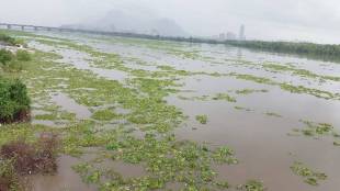 failure to stop sewage discharge into ulhas river prompts Protection committee to call strike