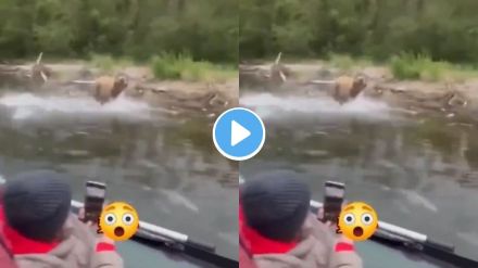 Viral Video