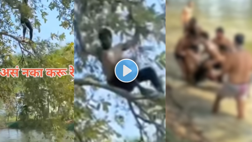 Viral Video young man fall from tree Viral Video young man fall from tree