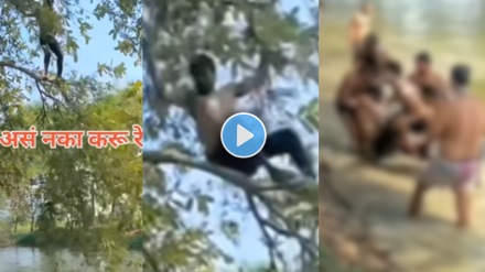 Viral Video young man fall from tree