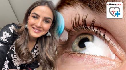 What role does the cornea play