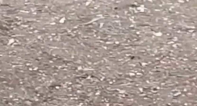 hailstorm , rain , Sangli , loksatta news,