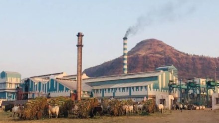 Yashwantrao Chavan Sahyadri Sugar Factory,