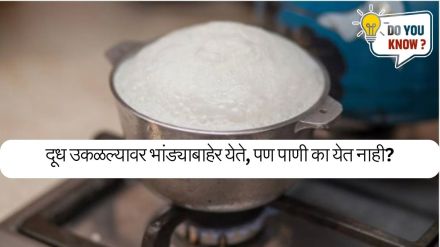 Milk vs Water Boiling Milk vs Water Boiling