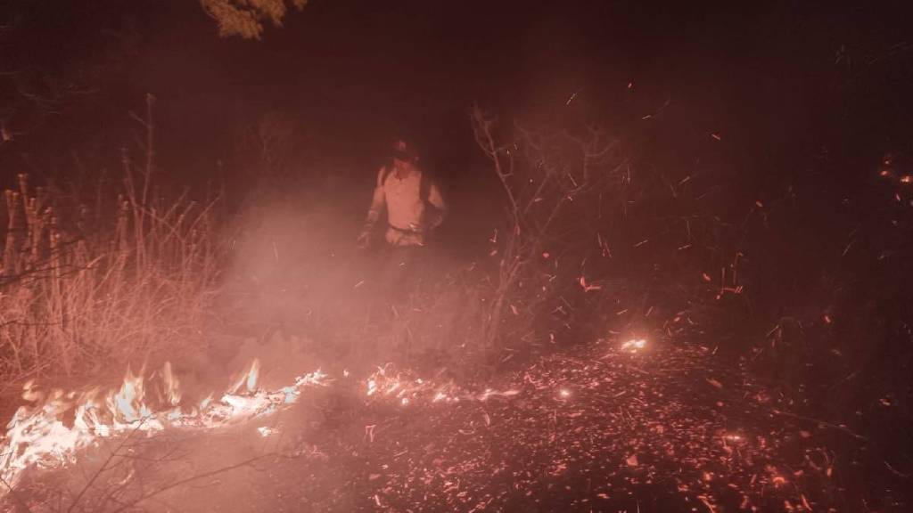 Wildfire on Budhlya mountain near Manmad suspect to keep leopards away nashik district