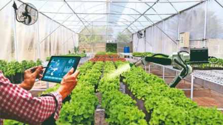 artificial intelligence in the agriculture sector