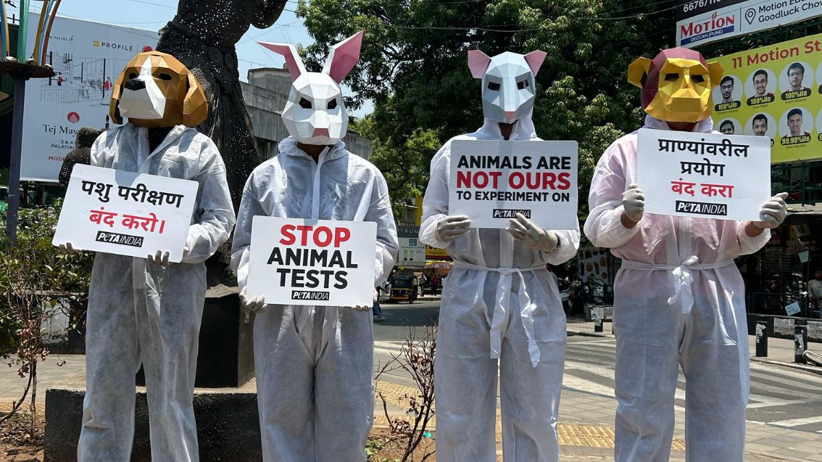 Stop doing experiments on animals raise awareness by wearing animal ...
