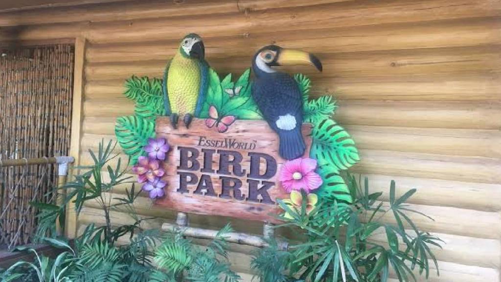 उद्यानात सुमारे ७० विदेशी प्रजातींच्या पक्ष्यांचे दर्शन मुंबईकर, तसेच देश-विदेशातील पर्यटकांना घडणार आहे.(लोकसत्ता टीम)