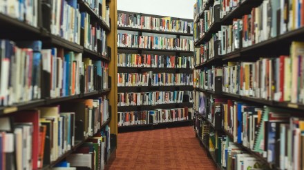 Library, vacation, libraries , summer vacation,