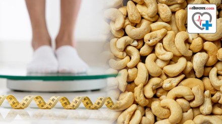 Weight Gain and Cashews