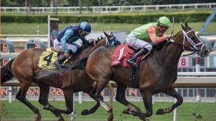 Online betting on horse racing pune