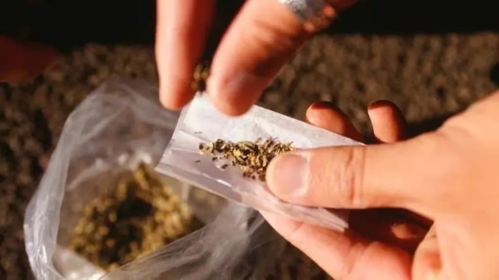 Customs arrests 3 women with rs 8 crore 50 lakh marijuana at Mumbai airport