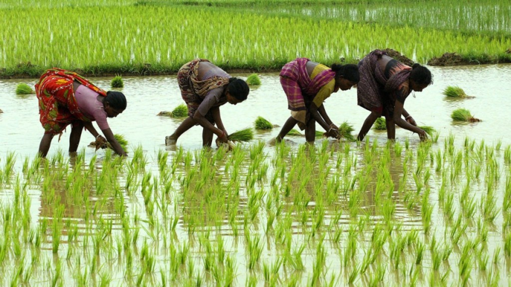Kolhapur district was given an annual credit plan target of Rs 42,200 crore