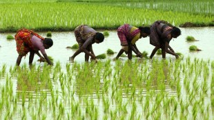 Kolhapur district was given an annual credit plan target of Rs 42,200 crore
