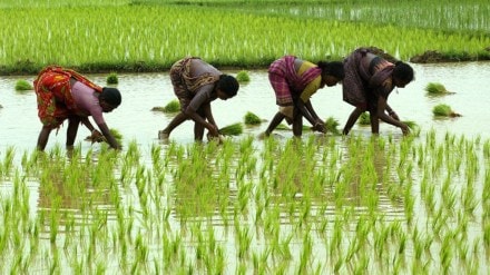 Kolhapur district was given an annual credit plan target of Rs 42,200 crore