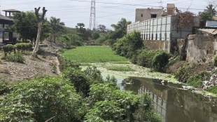 sewage water Boisar loksatta