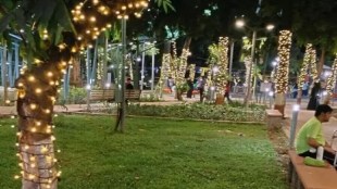 navi mumbai lighting on trees