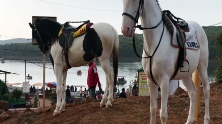 Kolhapur pahalgam attack loksatta news Kolhapur pahalgam attack loksatta news