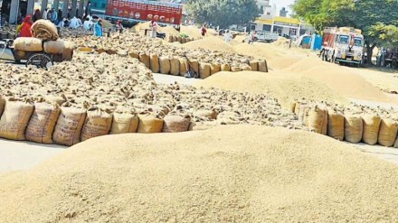 gadchiroli scam loksatta