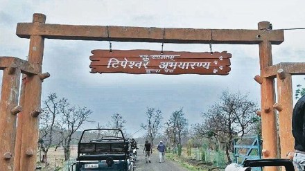 tipeshwar wildlife sanctuary loksatta news