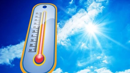nashik heat news loksatta