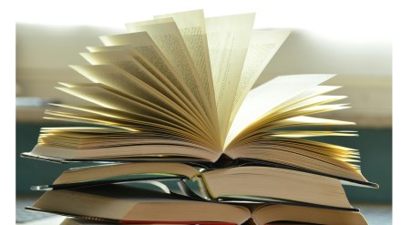 school students syllabus