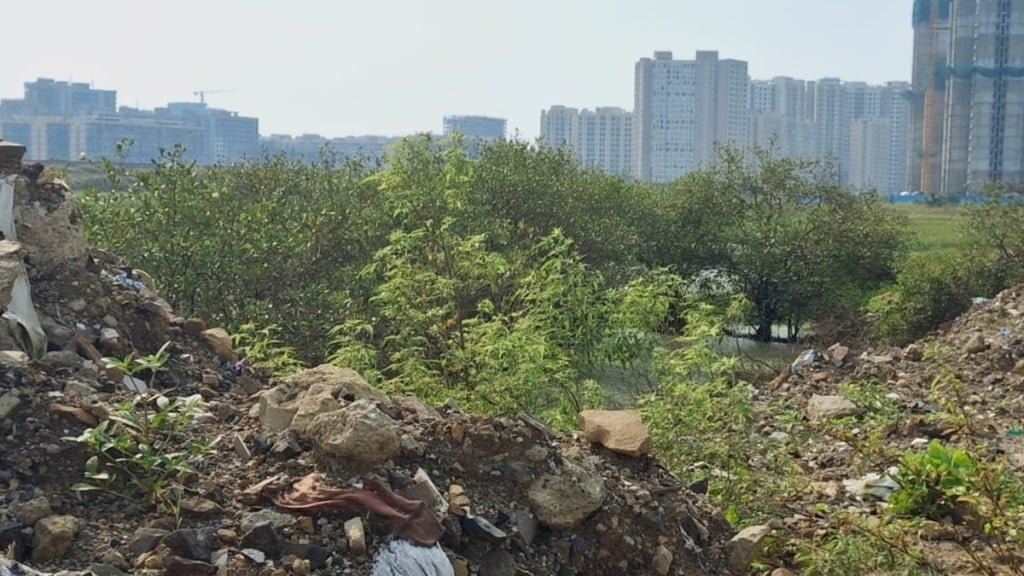 vasai soil filling loksatta