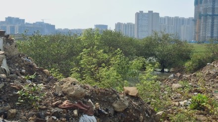 vasai soil filling loksatta